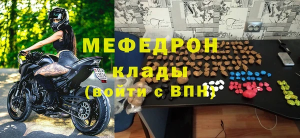 дмт Богданович
