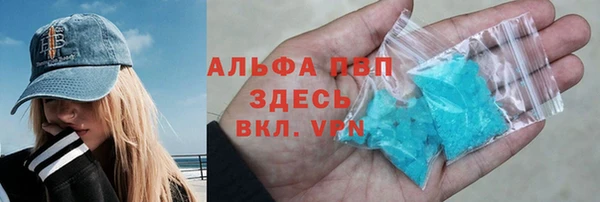 дмт Богданович