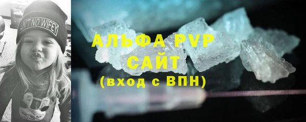 дмт Богданович
