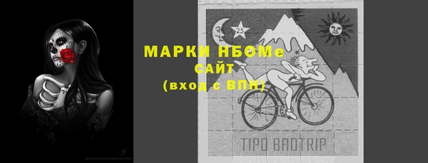 стафф Новозыбков