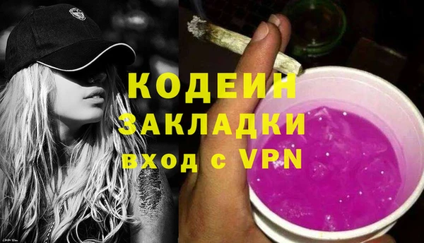 дмт Богданович