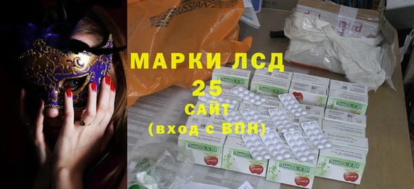 дмт Богданович