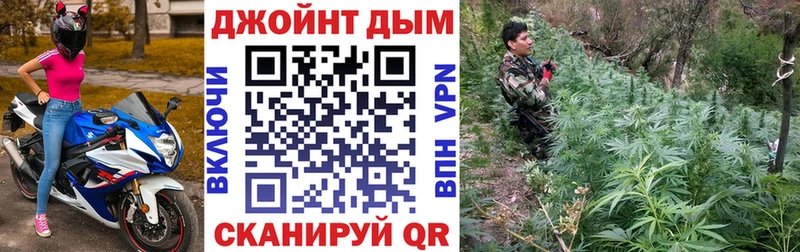 наркота  Бокситогорск  Шишки марихуана Ganja 